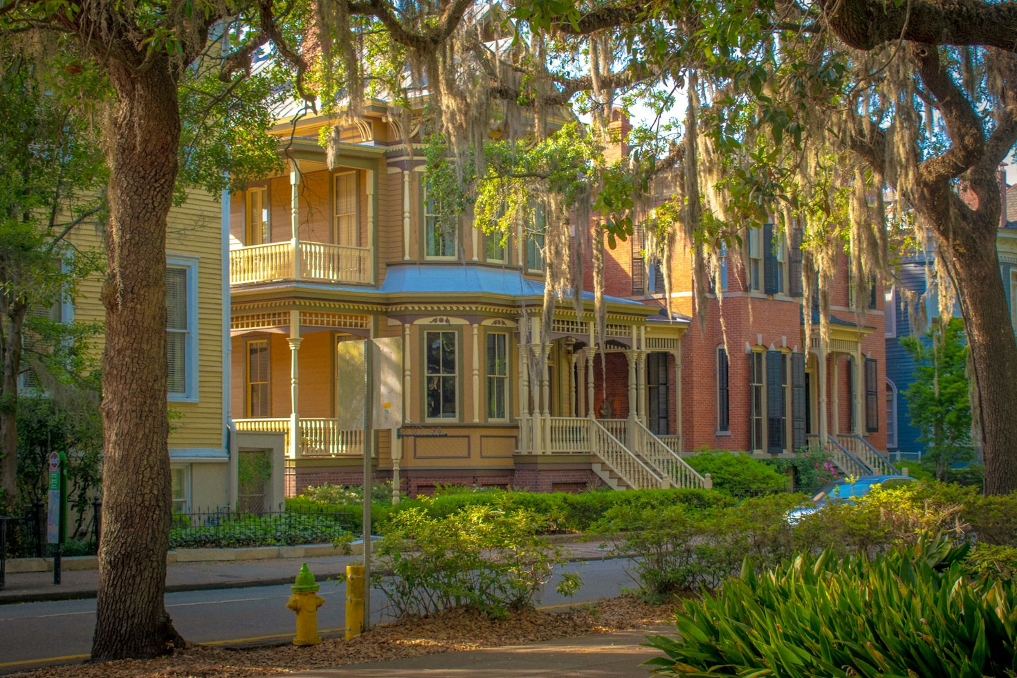 How to Create a Lowcountry Pollinator Sanctuary